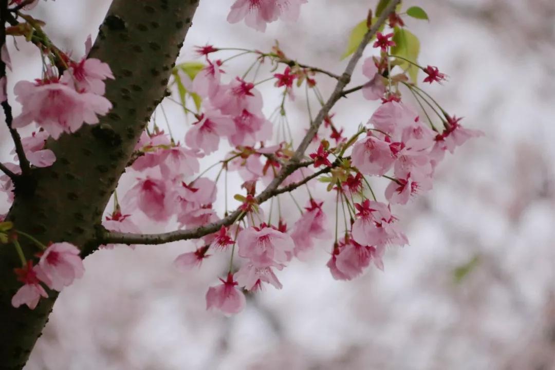 等疫情结束了和我一起去旅游吧,等疫情结束了我就带你去玩