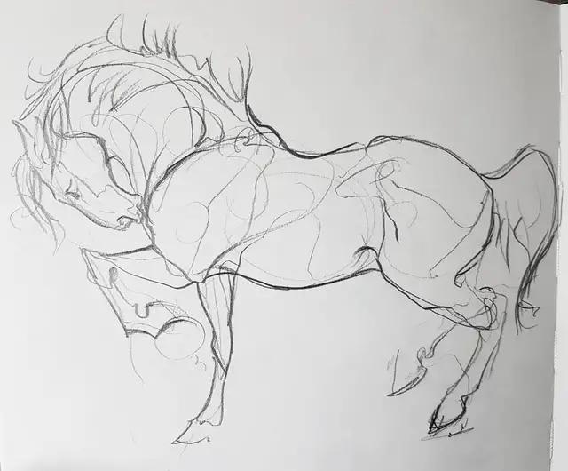 速写简笔画马,画速写不需要临摹