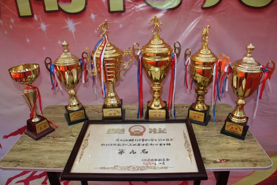 草根球员故事,足球老将的故事简介