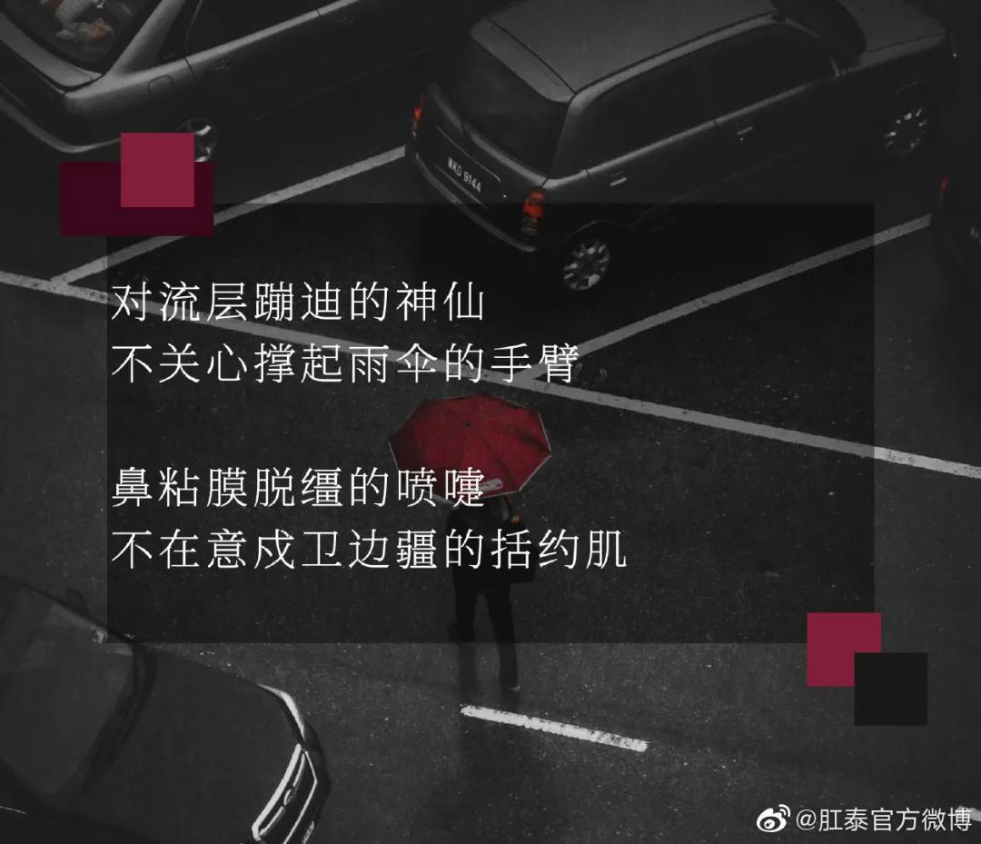 比肩杜蕾斯，肛泰这半年赢麻了