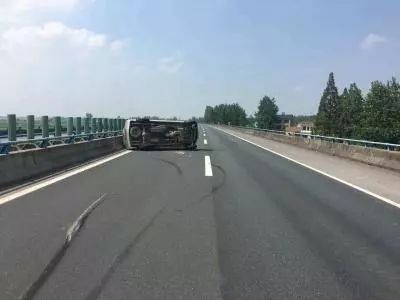 开车遇到动物如何避险,在高速上遇到大型动物该怎么办