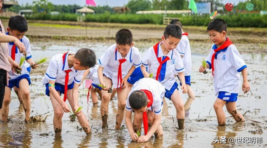 《观明德》|“研”传深“教”，让教育发光