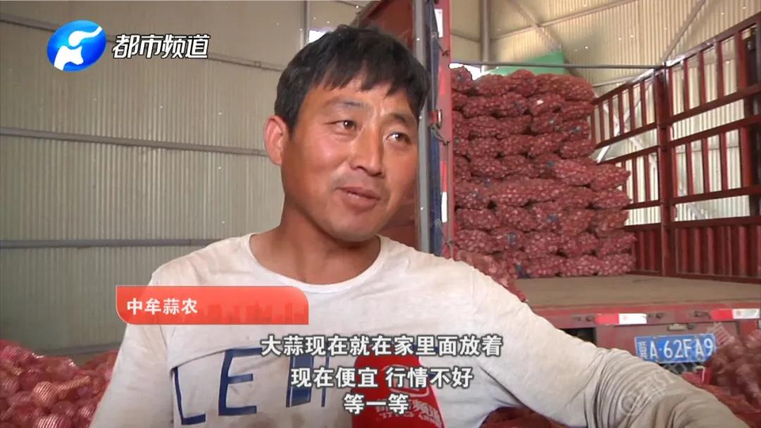 蒜你狠大蒜价格,蒜你狠改编版