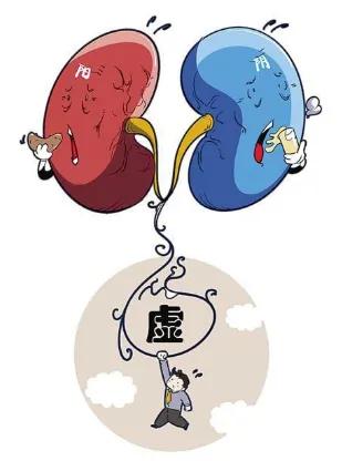 腰膝酸软、耳鸣耳鸣都是肾虚症状-6六味药“三补、三泻”补肾填精