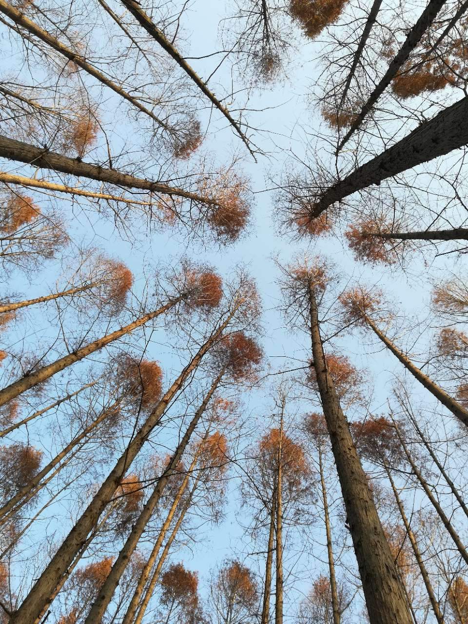 淮南湿地风光视频,淮南公园景点大全