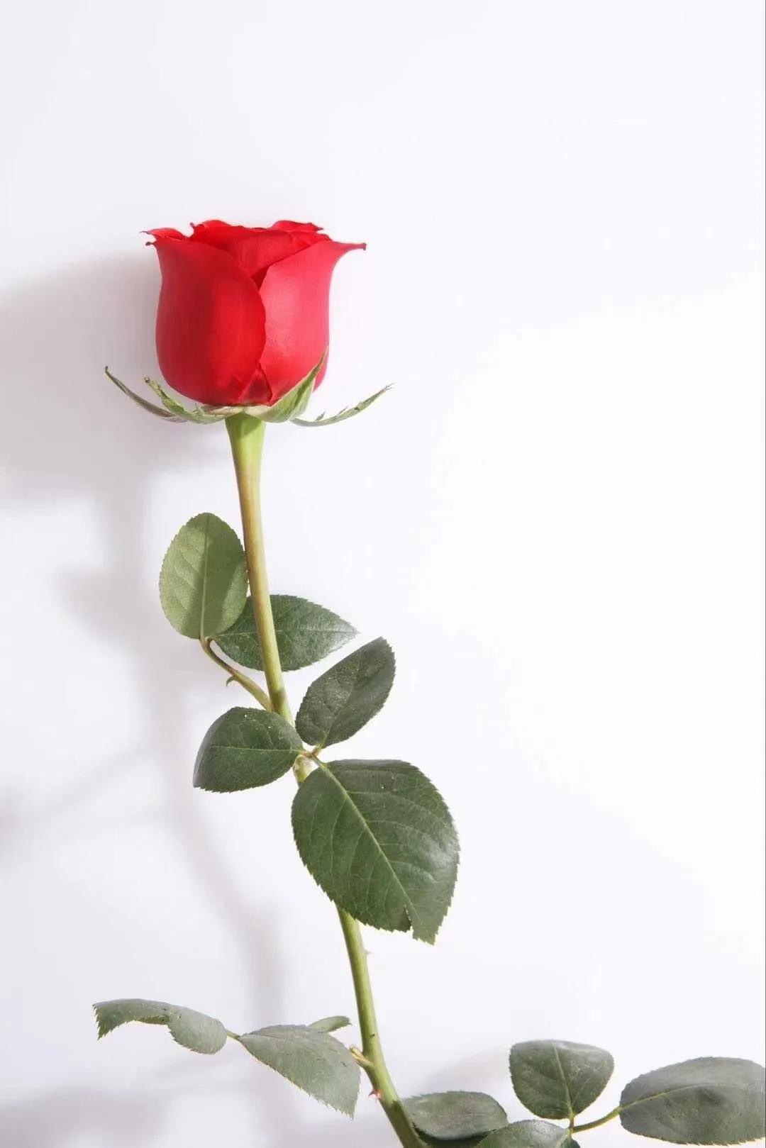 严重呼吸系统疾病保外就医,呼吸暂停综合征如何就医