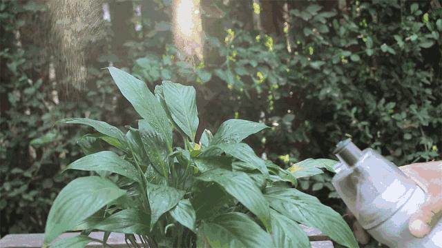 适合旅行带的遛娃神器,沙滩遛娃必备工具有哪些