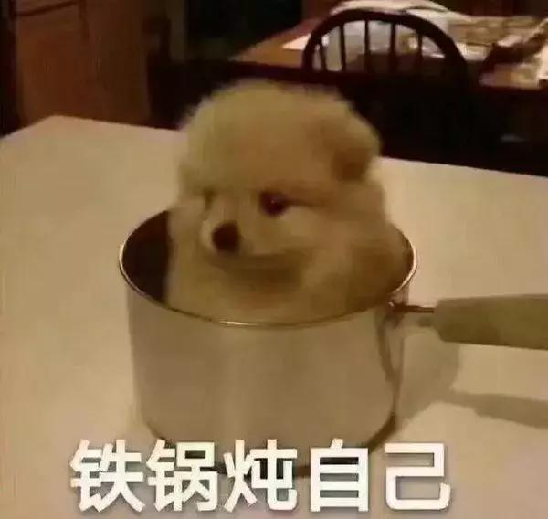 打假网红减肥法!看看瘦身博主们,如何让大家交智商税的