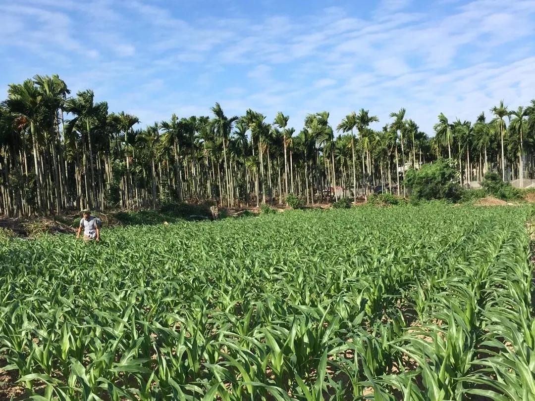 鑲ヤ埂娌冨湡绉嶄笟,鑲ヤ埂娌冨湡绉嶄笟鏈夐檺鍏徃鍦板潃