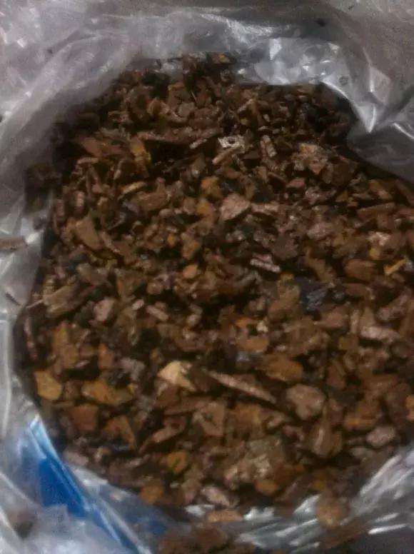 绿萝可以用枝条水养,怎么用水养绿萝绿萝才长得快