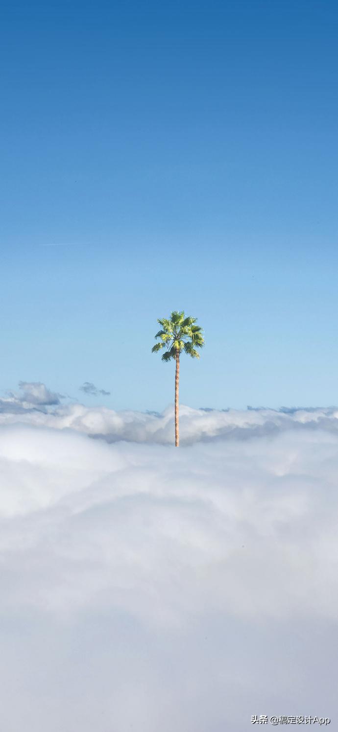 压箱底高清无水印壁纸,压箱底壁纸分享绿色护眼