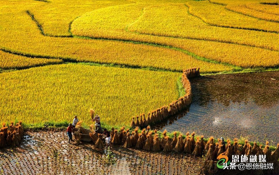 李伦英：用镜头记录家乡的美丽