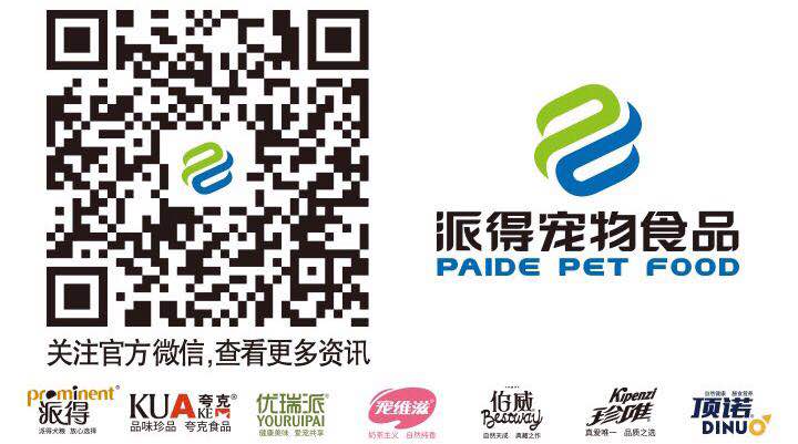 马犬怎么训练成工作犬,马犬怎么训练不护食