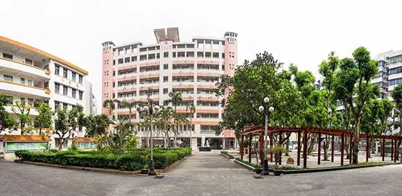 湛江教育机构被查,湛江通报批评