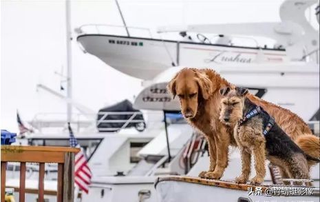 ps抠图换背景10种方法,ps颜色范围抠图方法