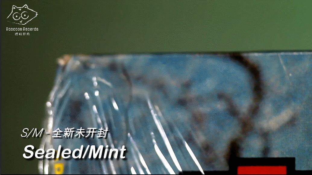 购买黑胶,买黑胶唱片机有什么注意点