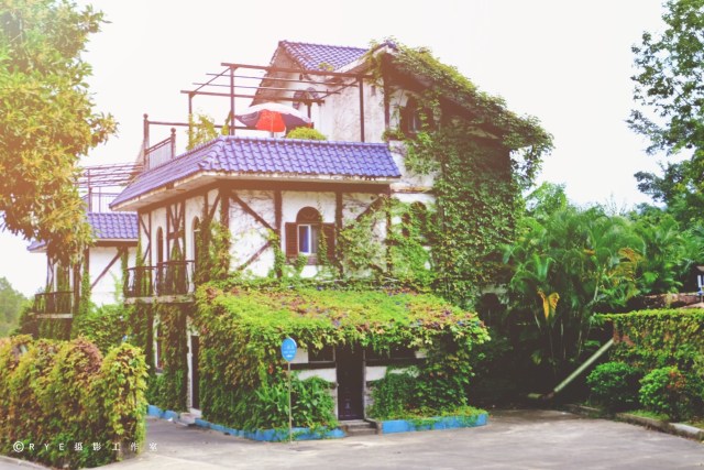 汕尾莲花山温泉度假村,广东汕尾莲花山龙须温泉