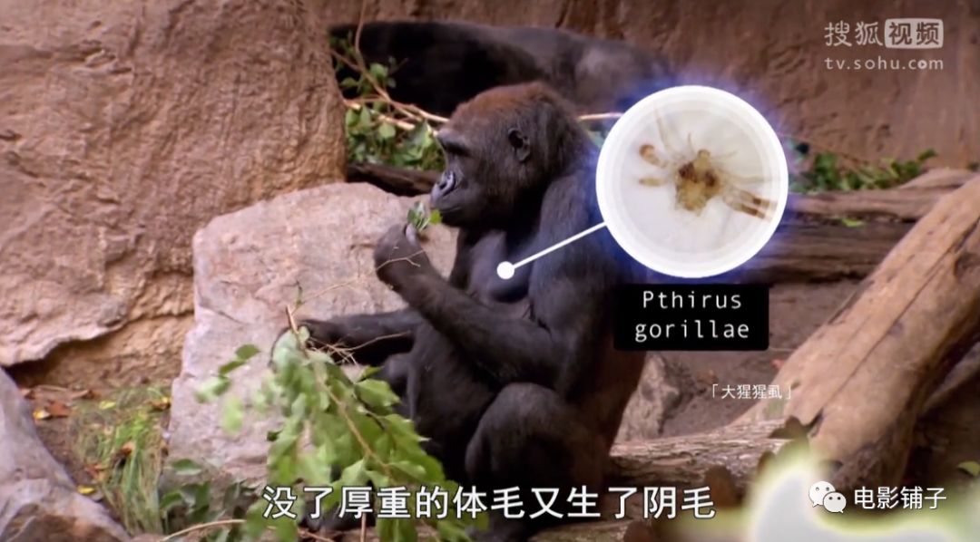 主持人用生命拍片系列，大写的牛掰