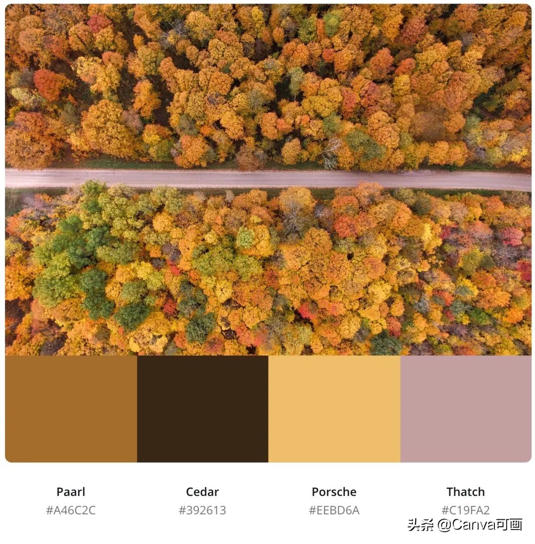 秋天配色插画秋高气爽,秋季高清插画