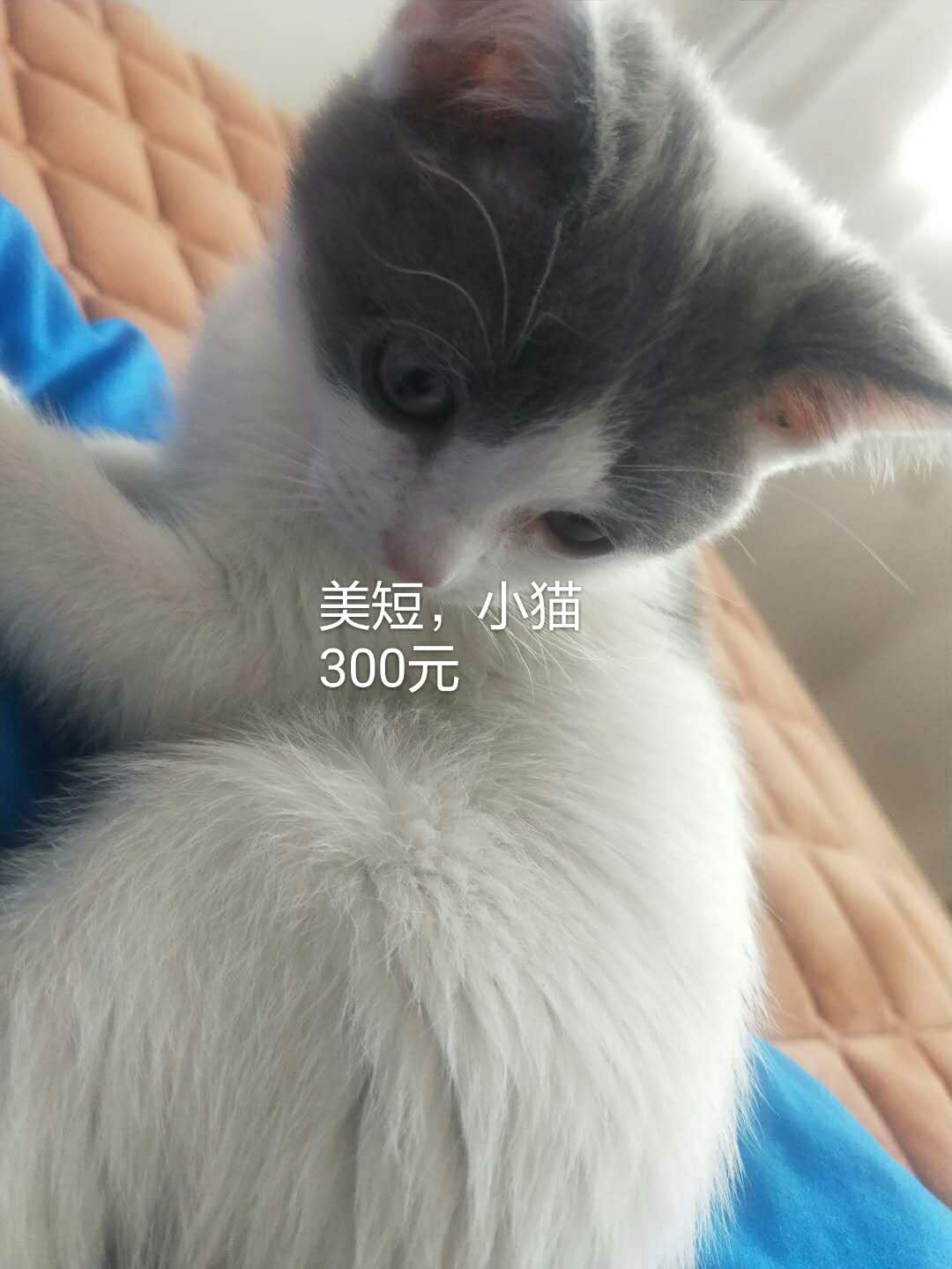 大庆二手物品闲置平台,大庆闲置物品同城出售