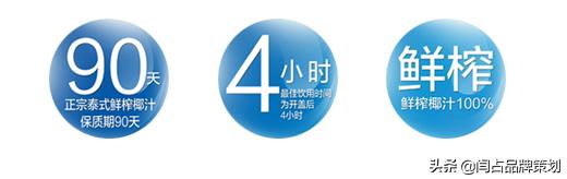 椰汁策划案例,椰汁品牌策划