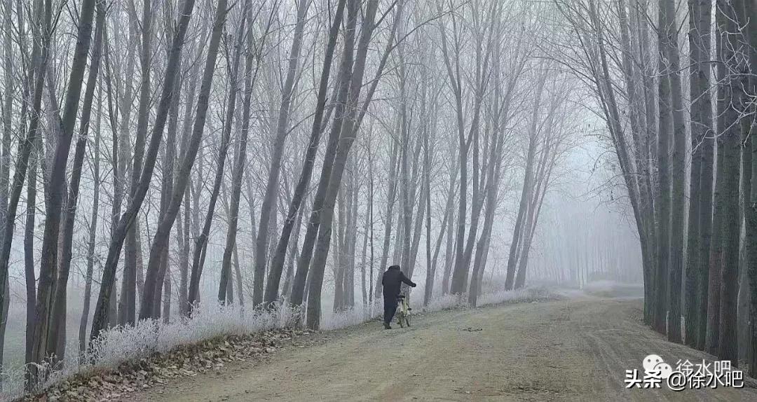 「徐水映像」换个角度看保定徐水,美