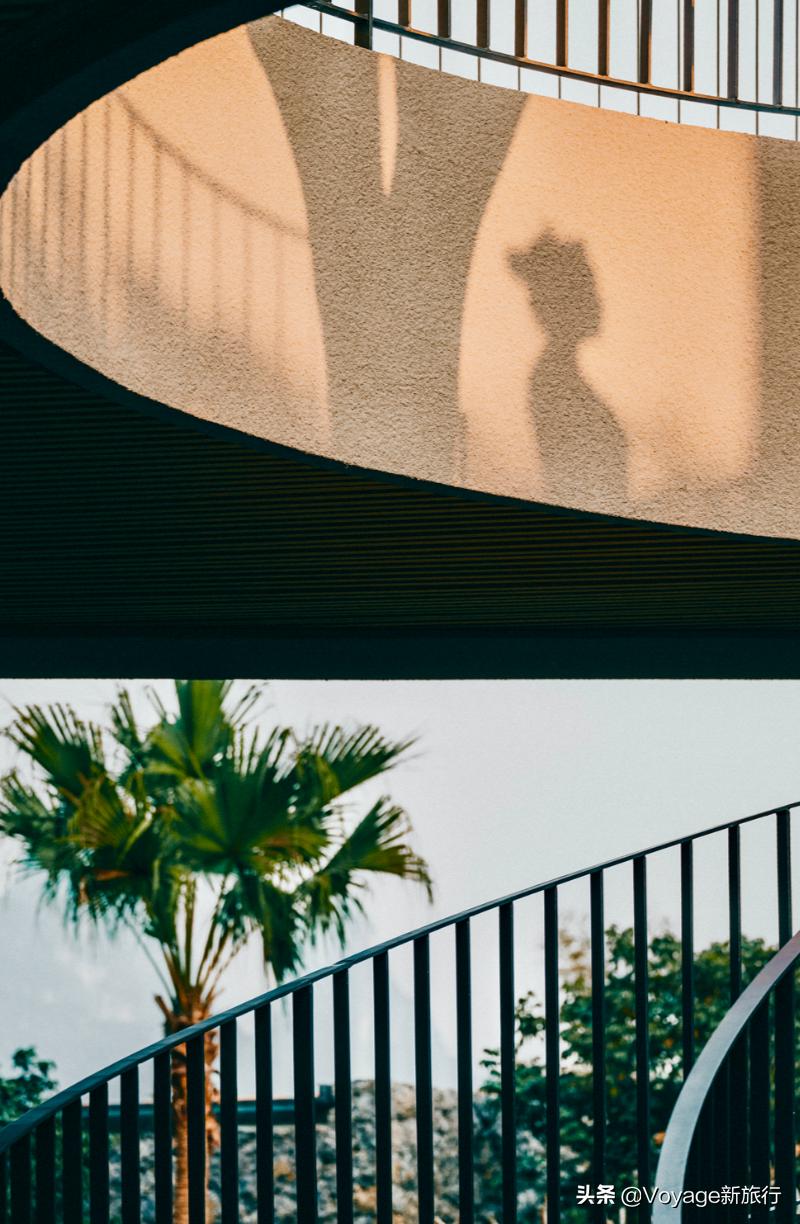 开放麦第2季都有谁,开放麦最新回放