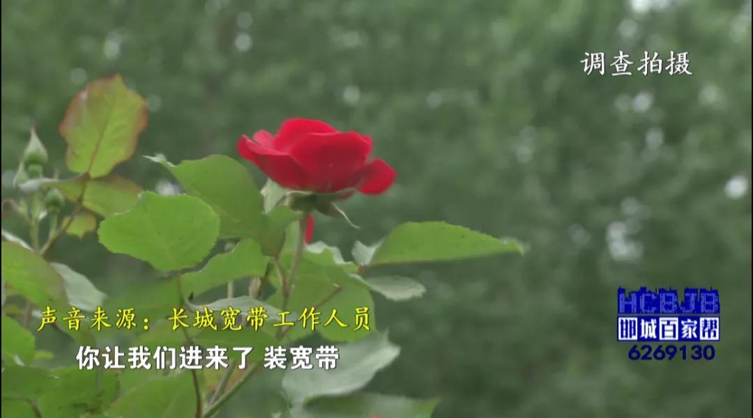 邯城百家帮,邯郸邯城百家帮