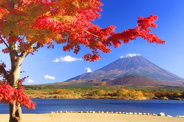 驴妈妈10.28会员日优惠上线领2000元秋游券抽奖0元游日本