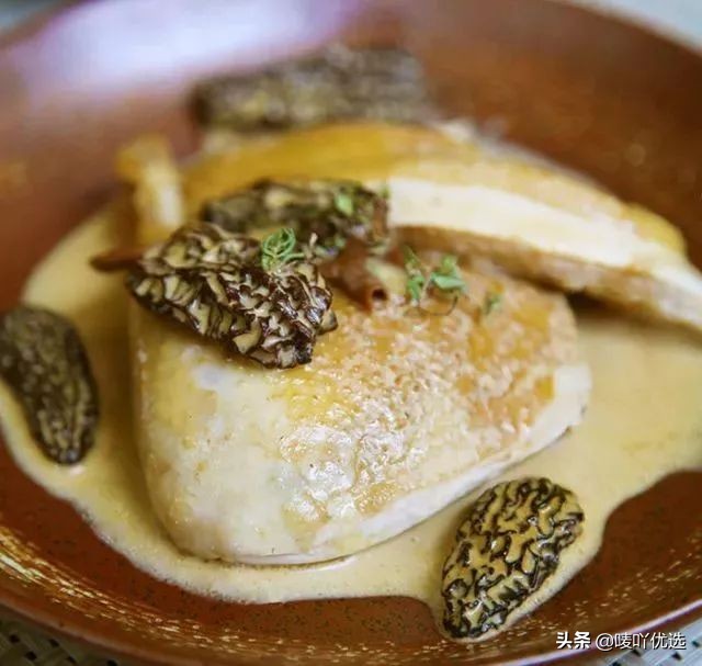 羊肚菌四大菌王,法国野生羊肚菌