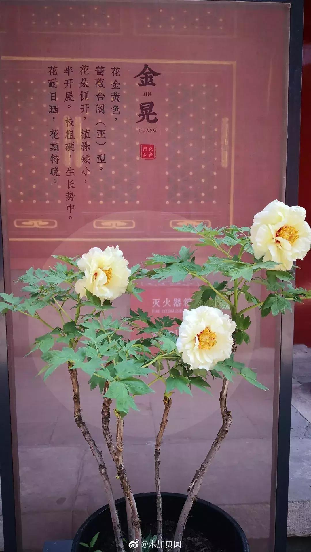 前方高能预警会怎样,前方高能预警提示