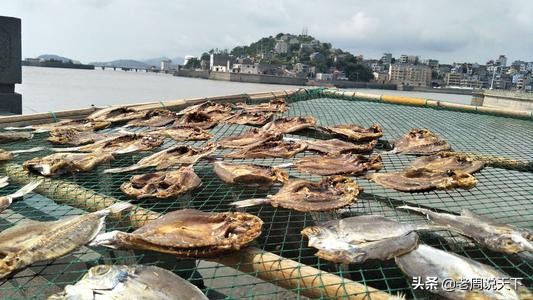 浙江省玉环市发展,浙江玉环县经济能超过一般市吗