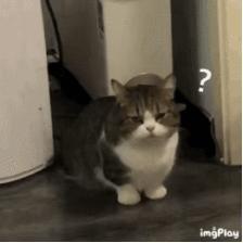 空管回购口红,空管口红10支必买