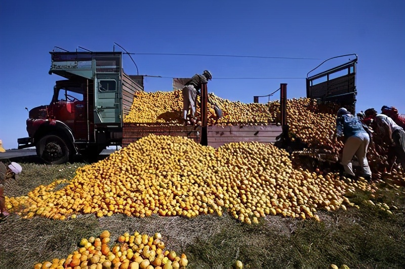 一亩田农产品商务平台,2018一亩田农产品b2b电商全景报告