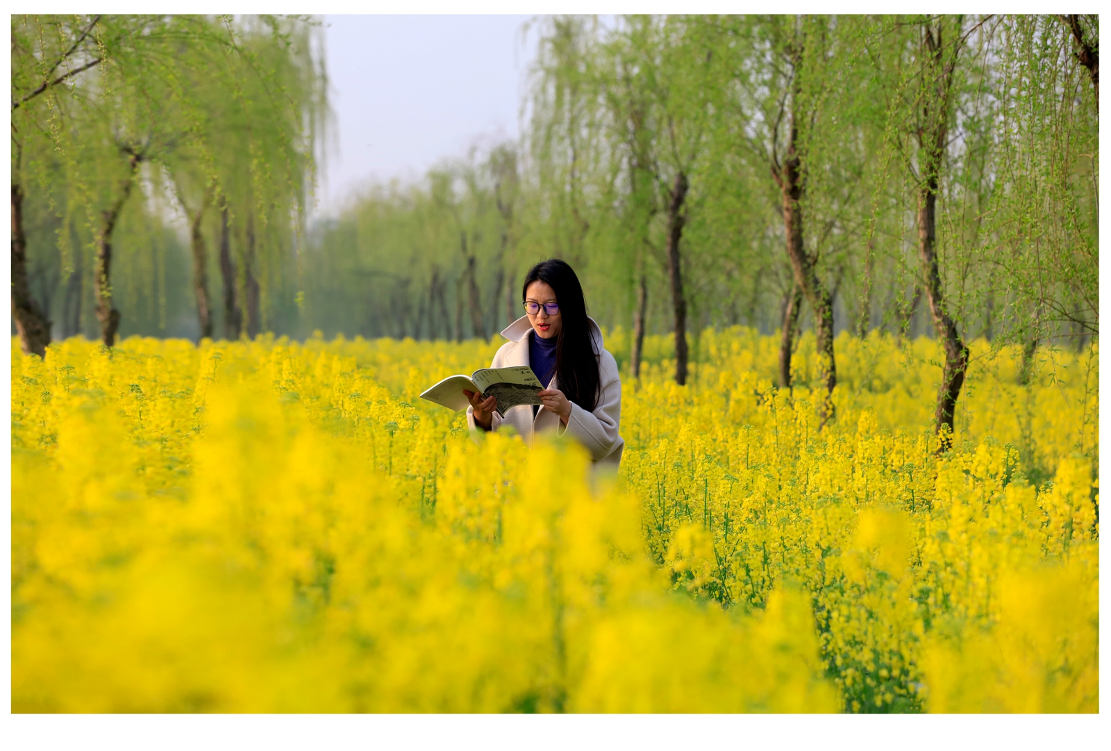 海安市曲塘,江苏海安市曲塘