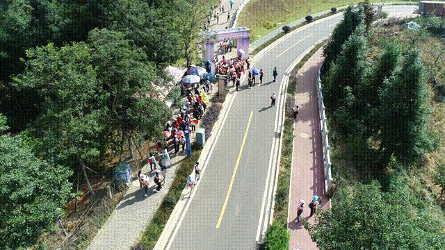 “冬日暖阳近登高望远时”2020南武当脐橙登山节精彩集锦回顾！