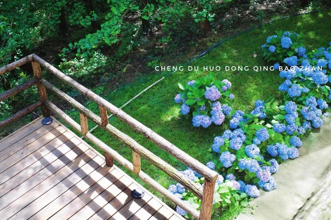 溪溪家儿时山谷民宿,溪溪家独栋院子