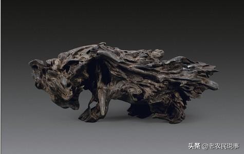 野外遇到这种树不要碰,怎么探索阴沉木