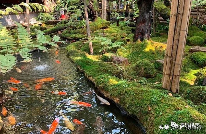 清迈一定要去的咖啡店,打卡泰国清迈6家瀑布咖啡馆