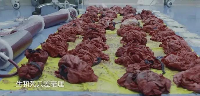 21世纪了别再用“绑架”来说“圆满”