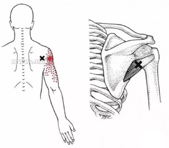 每日干货小分享,干货分享一周类的视频