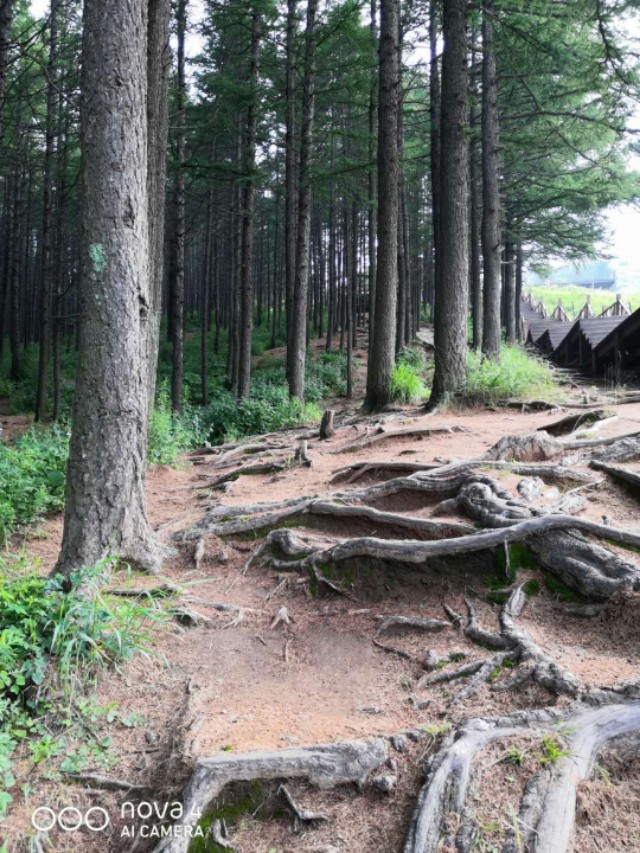 吃在驼梁，体验舌尖上的味道/郝贵云