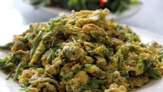 小茴香炒肉祛湿气,茴香排宿便