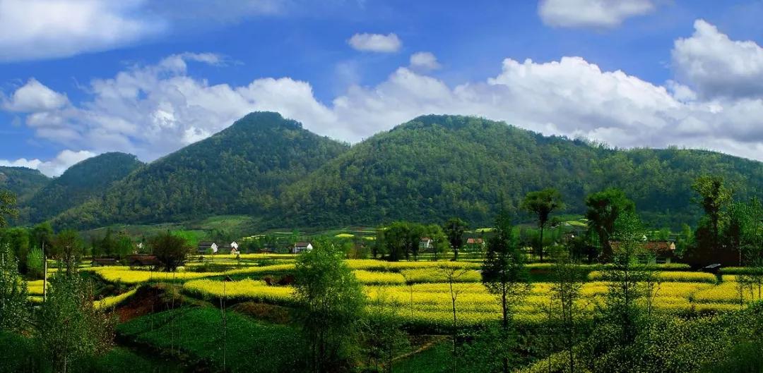 这里是勉县，一个让你流连忘返的地方