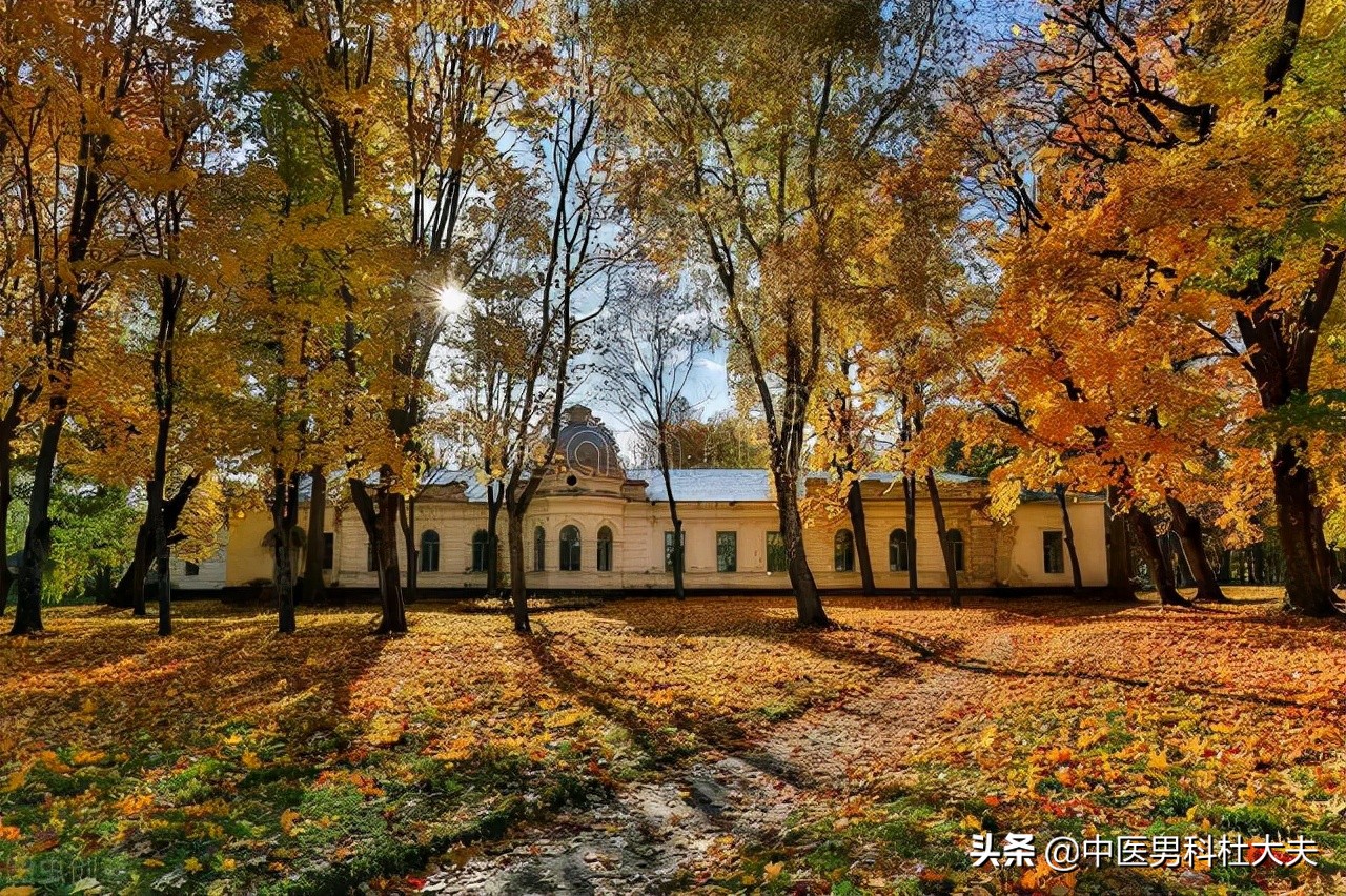 脾肾两虚气虚血瘀耳鸣,肝肾阴虚火旺耳鸣怎么调理