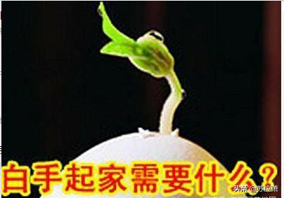 纪录片如何白手起家挣到一百万,白手起家挣到一百万