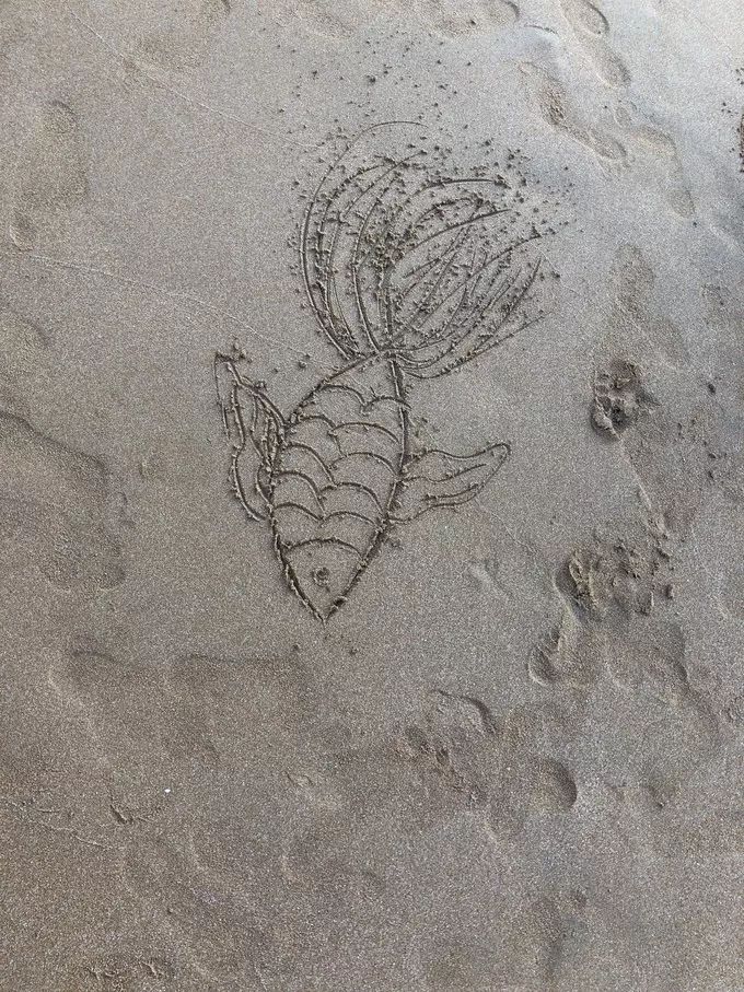 初心枸杞岛旅游攻略,枸杞岛旅游攻略大全