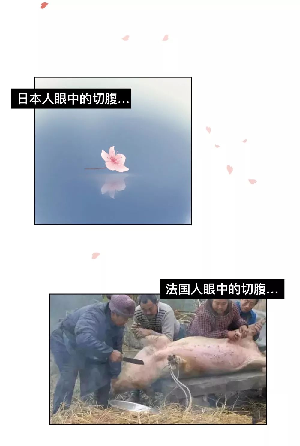 切腹漫画解读,日本人切腹的一天是怎样度过的