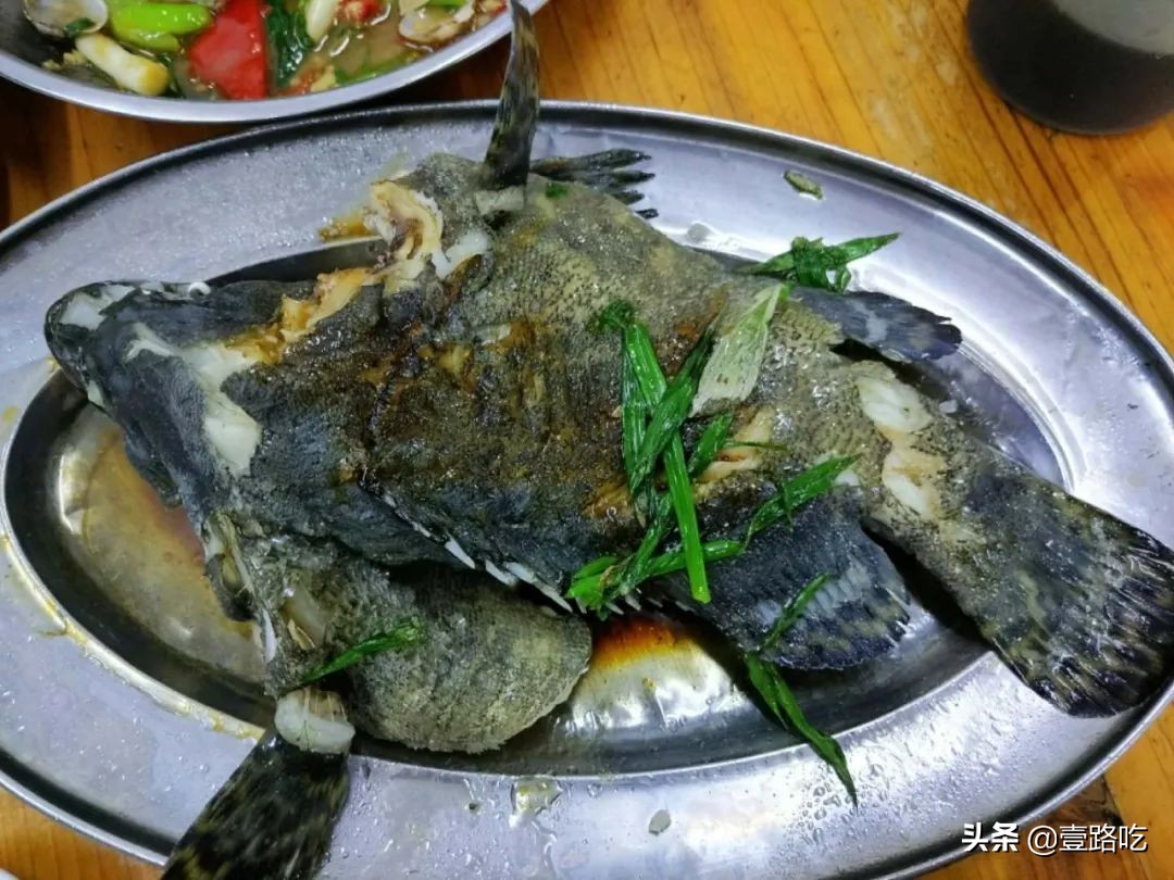 每天都有你想吃的海鲜美食,海鲜美食等你来品尝