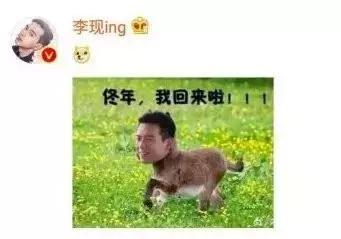 李现肖战谁和杨紫更搭,李现肖战谁的人气高